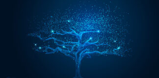 Illustration by Jackie Niam/istock