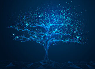 Illustration by Jackie Niam/istock